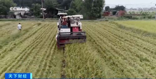 農(nóng)業(yè)培育新進(jìn)展 科技賦能未來(lái)農(nóng)業(yè)