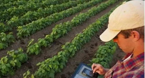 精準(zhǔn)農(nóng)業(yè)的5種模式 建議農(nóng)人們了解一下，助力農(nóng)業(yè)種植提質(zhì)增效