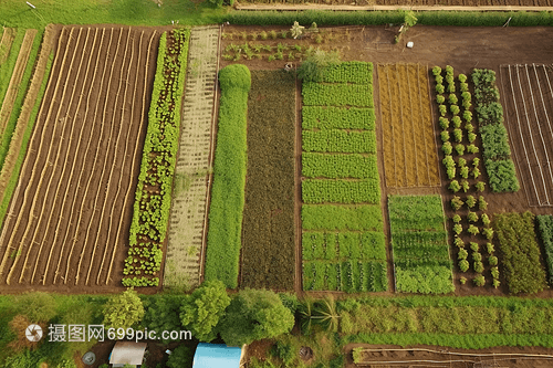 可持續(xù)農(nóng)業(yè) 一幅農(nóng)業(yè)培育的立體畫卷