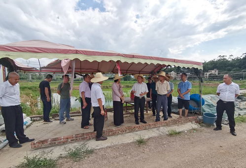 省農業農村廳領導調研我市水產種業與生態養殖發展情況